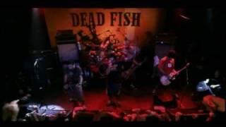 Dead Fish  Queda Livre  MTV Apresenta [upl. by Ansley918]