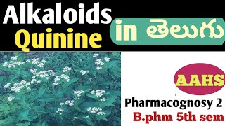 Quinine in తెలుగు b pharm 5th sem  pharmacognosy 2 unit 3 [upl. by Charry]