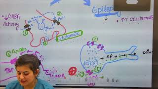 EPILEPSY AND ANTIEPILEPTIC DRUGS nclexnursing norcet aiimsnorcet internationalstudents [upl. by Anowahs]