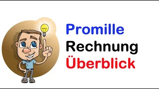 Promillerechnung Überblick [upl. by Assillim939]