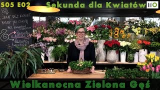 Sekunda dla Kwiatów  Wielkanoc cz 1  S05 E02 floristic diy Easter ideas [upl. by Hemphill]