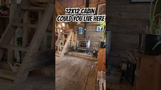 12x12 Cabin Could You Live Here [upl. by Eekcaj648]