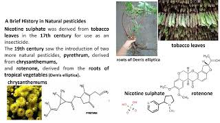 Natural Pesticides for PharmD students Oct 2024 [upl. by Amirak]