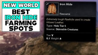 NEW WORLD BEST IRON HIDE FARMING SPOTS [upl. by Yanetruoc12]