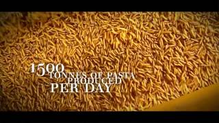 Pasta Zara Corporate Video 2015 [upl. by Ellesij126]