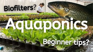 What is Aquaponics and How Does it Work [upl. by Cagle]