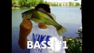 Mangler Lures Bass Fishing with Crankbaits and Squidy [upl. by Oicram]