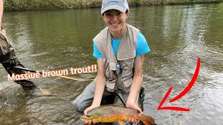 Fly fishing a Pennsylvania river for huge brown trout [upl. by Yecaw]