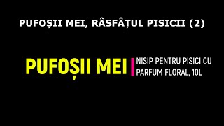 PUFOȘII MEI RÂSFÂȚUL PISICII 2 [upl. by Olds]