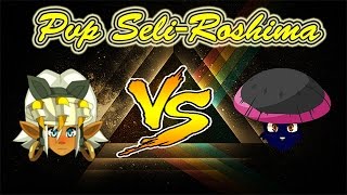 DOFUS Seliroshima Roublard 200 VS Eca 200 [upl. by Yroc]