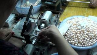 Freshwater Culture Pearls production [upl. by Aisatana]