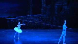 Sae Eun Park amp Kimin Kim La Bayadere Act 3 Pas de deux 박세은 김기민 발레 라 바야데르 [upl. by Annaerda]