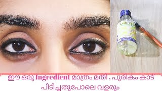 How To Grow Eyebrows Thicker And Faster 💯 Natural RemedyDarker EyebrowsAbhina AnilMalayalam [upl. by Nyltiac237]