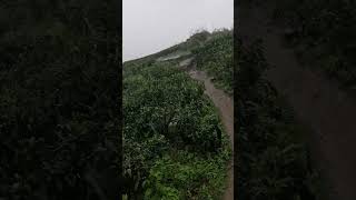 Pathway to the Peaks  Silent Walk [upl. by Ymmot]