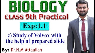 Study of Volvox with the help of prepared slide  9th biology practical  Exp11 part2 c [upl. by Abramson63]