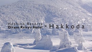 Mt Hakkoda Skiing amp Hoshino Resorts Oirase Keiryu Hotel [upl. by Tayyebeb941]