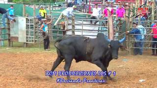 Toros en Fiesta de Los Santos Inocentes La Colorada de Santiago 282930 [upl. by Akemak153]