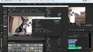 Premiere Pro 基本：ローリング・クローリングタイトルを作る｜lyndacom 日本版 [upl. by Roscoe]