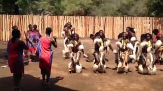 Dança típica Africana [upl. by Faxun488]