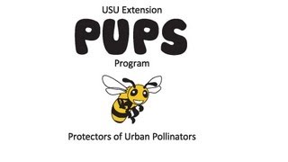 PUPS Types of Pollinators [upl. by Nonohcle]