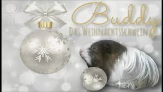 Buddy das Weihnachtsschwein  Eine weihnachtliche Kurzgeschichte  Mels Bücherwelt [upl. by Yelsnia457]