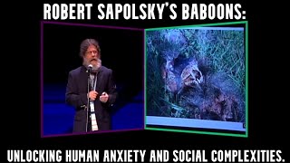 Robert Sapolskys Baboons Unlocking Human Anxiety and Social Complexity Baboons StressAndAnxiety [upl. by Elleniad]