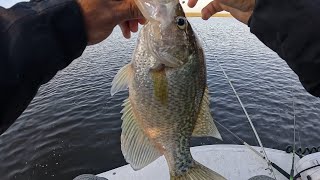 fishing lake okeechobee crappie spawn [upl. by Yevreh]