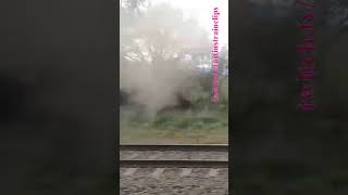 Steamrails Goulburn Valley Explorer 270724 shorts shortvideo train travel windowviews views [upl. by Cosmo619]