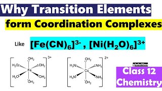 Why transition elements form complexes coordination compounds  d and f block elements [upl. by Shull]