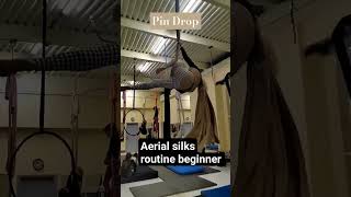 How To Do A Pin Drop On Aerial Silks 📌  shorts youtubeshorts aerialsilk aerialsilkstricks [upl. by Bresee675]