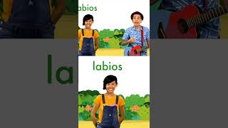 Conoce palabras por la letra L de León 🦁 123andres musicainfantil shortsvideo kidsvideo shorts [upl. by Fitting]