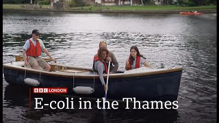 Ecoli in River Thames fails repeatedly carried out by citizen scientists UK 22Aug2024 [upl. by Nonnahsed229]