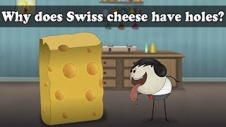 Why does Swiss cheese have holes  aumsum kids science education children [upl. by Ordway]