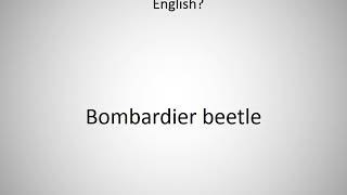 How to say Bombardier beetle in English [upl. by Aerdnaeel]