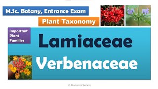 Lamiaceae amp Verbenaceae  MSc Botany Entrance  Angiosperm Families  Important Notes [upl. by Mcmurry]