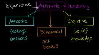 Components of Attitudes [upl. by Dolly]