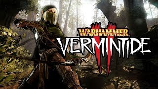 Warhammer Vermintide 2  Champion Waystalker Festering Ground All Collectibles [upl. by Nawuq949]