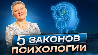 Пять законов психологии [upl. by Dolley]