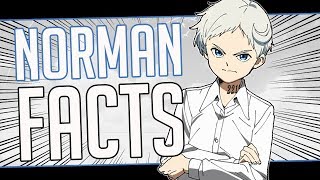 5 Facts About Norman  The Promised NeverlandYakusoku no Neverland [upl. by Heydon346]