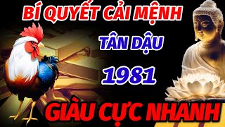 THẦY TỬ VI TIẾT LỘ BÍ QUYẾT CẢI MỆNH CHO TUỔI TÂN DẬU 1981 SAU 44 TUỔI PHẤT NHƯ DIỀU GIÀU CỰC NHANH [upl. by Nepean]