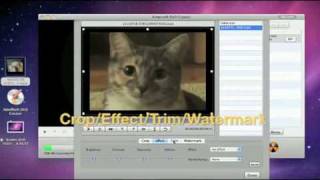 Convert avi m4v mkv mp4 wmv mov flv video to dvd [upl. by Ennovart76]