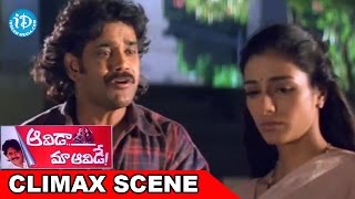 Aavida Maa Aavide Movie Climax Scene  Nagarjuna  Tabu  Heera [upl. by Montagu]