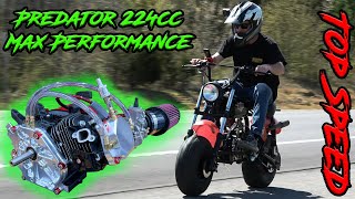 Fully Built Predator 224cc Mini Bike Top Speed amp Street Ride [upl. by Brigham]