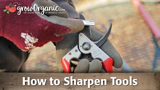 Sharpening Tools  Pruners Loppers Shovels and More [upl. by Katha574]