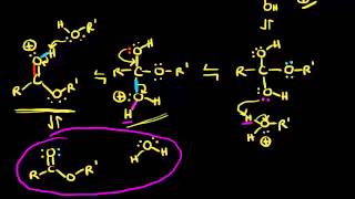 Preparation of esters via Fischer esterification  Organic chemistry  Khan Academy [upl. by Ainod678]