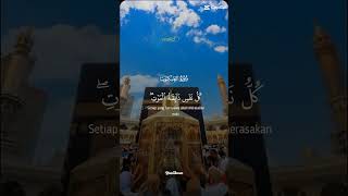 masallahsubhanallah famousshorts subscribe s foryou [upl. by Ashok]