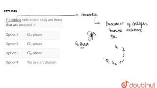 Fibroblast cells in our body are those that are arrested in [upl. by Smitt162]