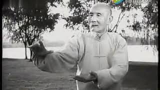 Early Yang style Taijiquan demonstrated by Niu Chunming with English Captions [upl. by Ema421]