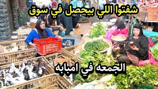 كارثه هي دي اسعار سوق امبابه 🤯 اسعار البط والوز وفراخ التربيه لرمضان وسعر الزبدة والزيتون مفاجاة [upl. by Thilde]