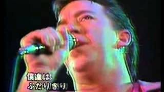 Boz Scaggs  Were All Alone （1983年の日本公演） [upl. by Geraud]